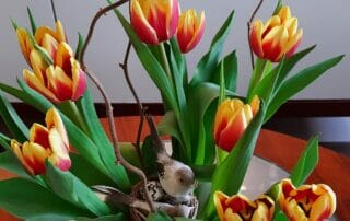 OZA Frühlingsgruss 2021